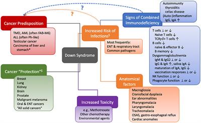 The Pattern of Malignancies in Down Syndrome and Its Potential Context With the Immune System